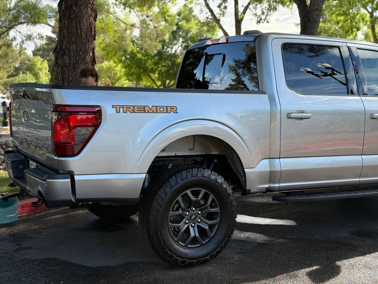 Silver Ford F-150 Tremor after exterior detail